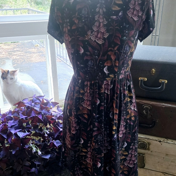 Disturbia Floral Black and Purple Dress - Picture 2 of 8